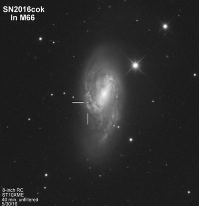 m66 supernova