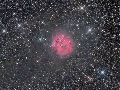 IC5146 ("Cocoon Nebula")
